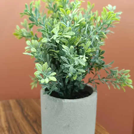 Апартаменты Akon *